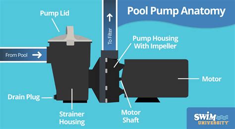 centrifugal pump swimming pool|swimming pool pump function.